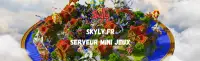 Bannière du serveur Skyly